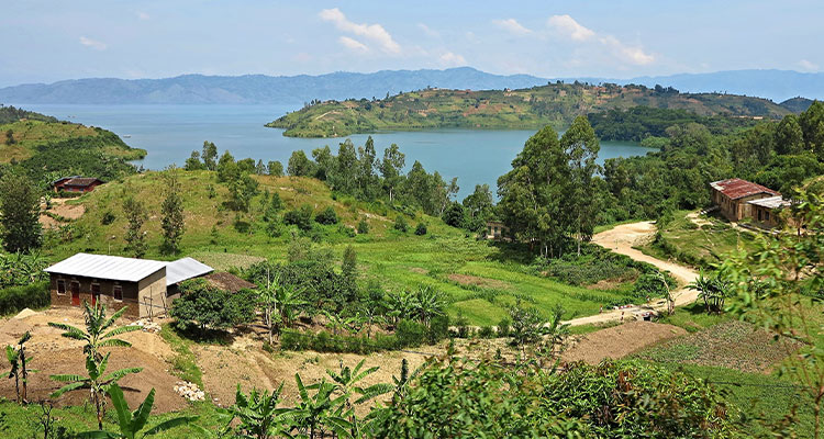 A view across a waterside area in the Democratic Republic of Congo.