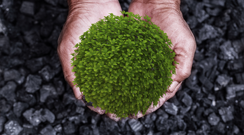 Image of a person holding a handful of green leaves above a bed of coal to support green mining article