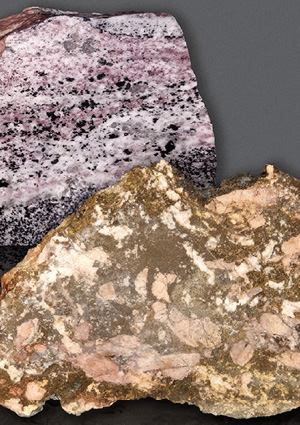 Rare earth ore samples